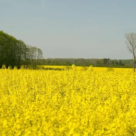 Jessen Modern Retreat *